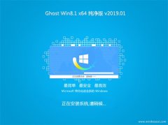 ʿGhost Win8.1 (X64) ٷv201901(Զ)