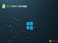 <font color='#CC0000'>ײwin8.1⼤64λ칫v2025.05</font>