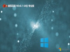 <font color='#990000'>ѻ԰64λwin8.1ʦv2025.05</font>
