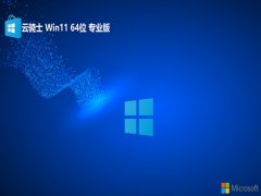 <font color='#333333'>ʿwin11ʽ64λv2025.05</font>