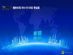 <font color='#000099'>ľ⼤win10 64λԳưv2025.05</font>