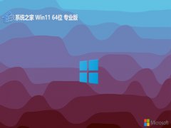 <font color='#0000FF'>ϵͳ֮win1164λרҵv2025.05</font>