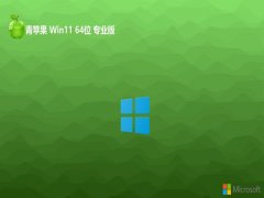 <font color='#FF0000'>ƻϵͳ64λwin11ȫٰܼv2025.05</font>