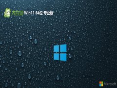 <font color='#FF0000'>ײv2025.05win11 64λٰͨ</font>